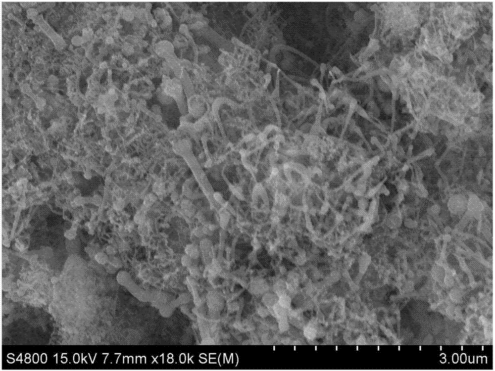 含有氮化硅的納米材料及其制備方法和用途與流程