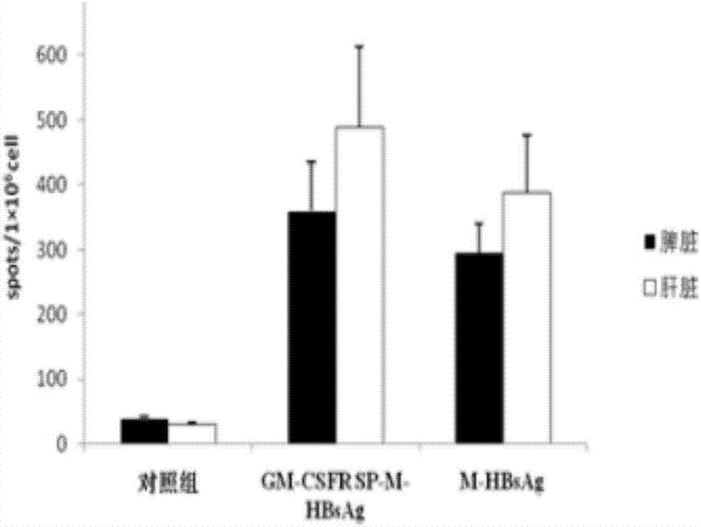 一種慢性乙肝治療性DC疫苗的制作方法與工藝