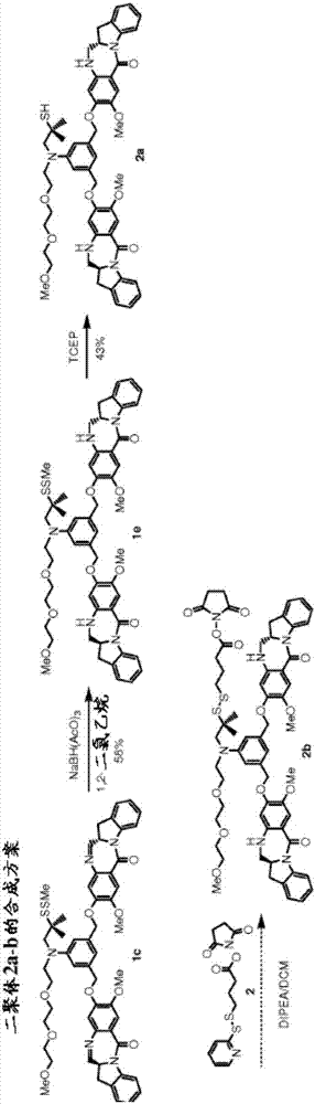 細(xì)胞毒性苯并二氮雜*衍生物的制作方法與工藝