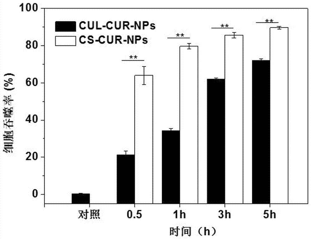 一種用于巨噬細胞靶向藥物遞送的納米粒子及其制備方法與流程