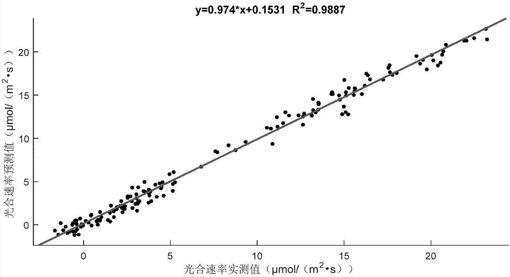 基于適宜根溫區(qū)間的水培蔬菜光環(huán)境高效調(diào)控方法與系統(tǒng)與流程