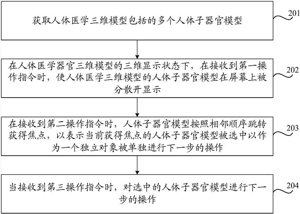 在人體醫(yī)學(xué)三維模型中選擇人體子器官模型的方法及裝置與流程