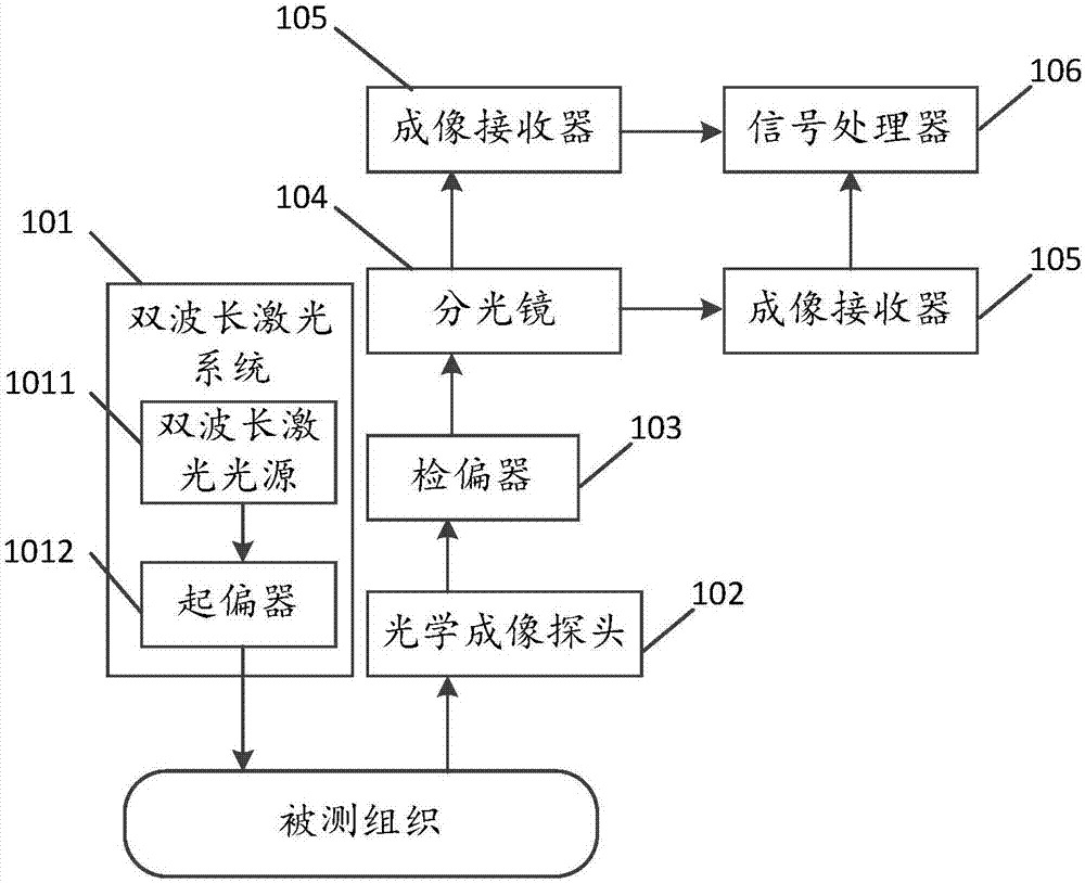 微循環(huán)的多參數(shù)成像檢測(cè)方法及裝置與流程