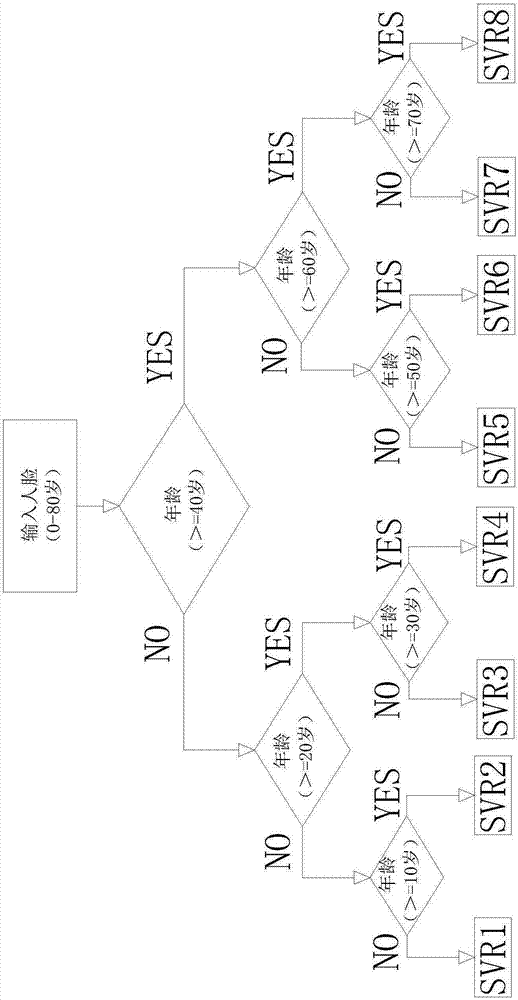 一種基于深度稀疏表示的人臉年齡估計方法與流程