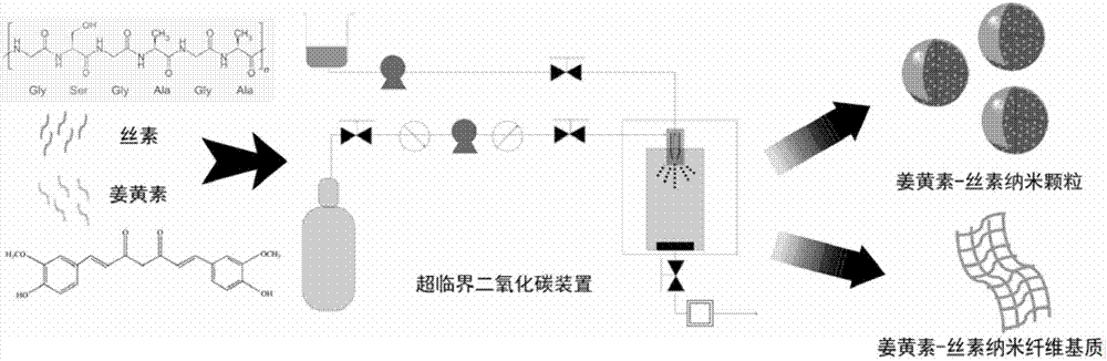 一种基于超临界二氧化碳技术的纳米制剂体系方法与流程