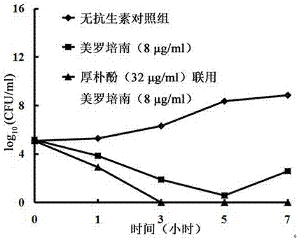 厚樸酚在制備NDM?1酶抑制劑中的醫(yī)用用途的制作方法與工藝