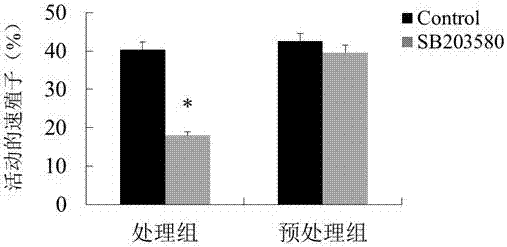 一种新的抗犬新孢子虫药物的制作方法与工艺