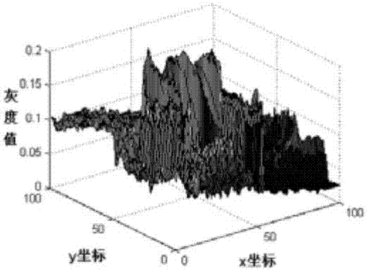 一種基于場(chǎng)景光輻射準(zhǔn)確估計(jì)的濃霧去除方法與流程