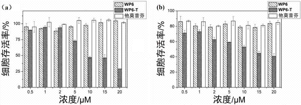 一種他莫昔芬組合物及其制劑的制作方法與工藝