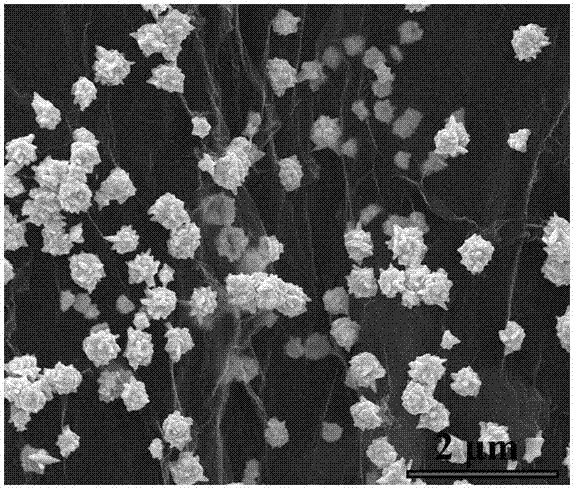 負(fù)載金花的三維還原氧化石墨烯的制備方法與流程