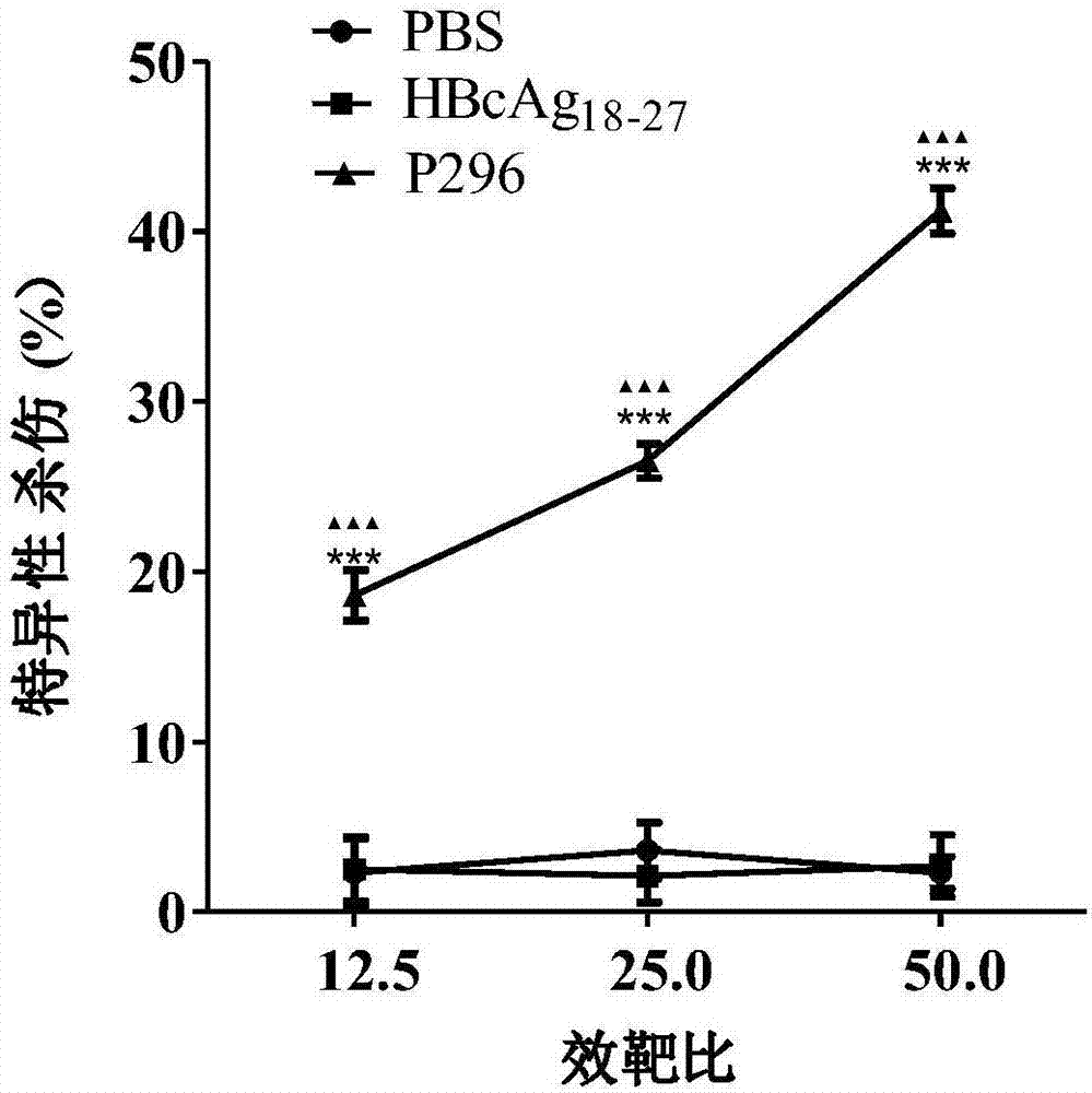 靶向AKAP3的亲和肽P296的制作方法与工艺