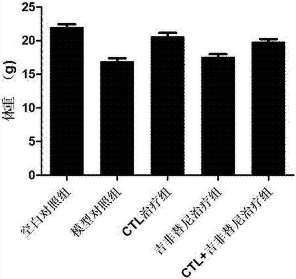 抗原肽T790M‑2及其在制备治疗非小细胞肺癌的药物中的应用的制作方法与工艺