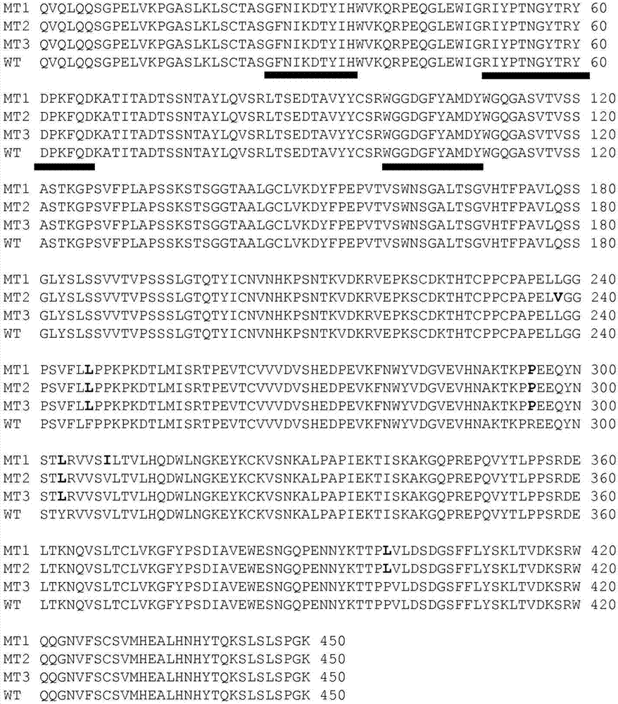 HER2/neu?特異性抗體和其使用方法與流程