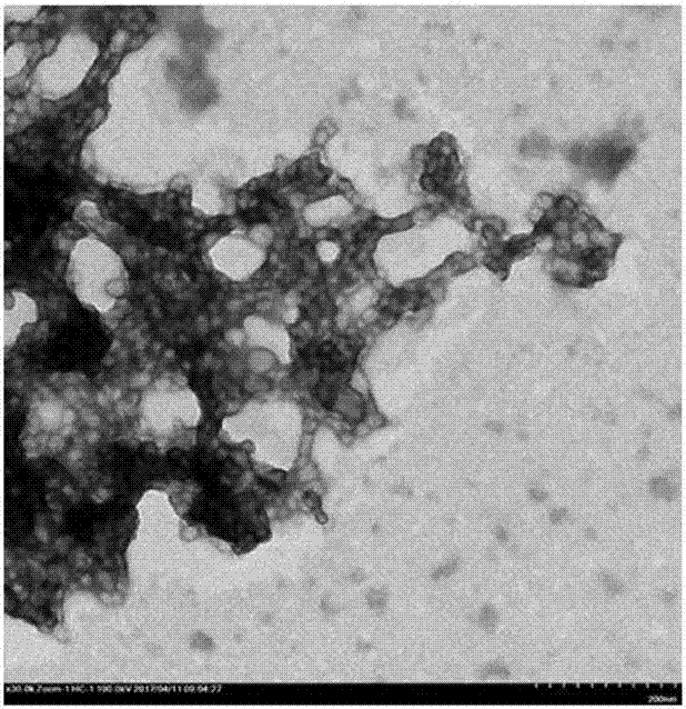 抗菌性交聯(lián)納米粒子及其制備方法與流程