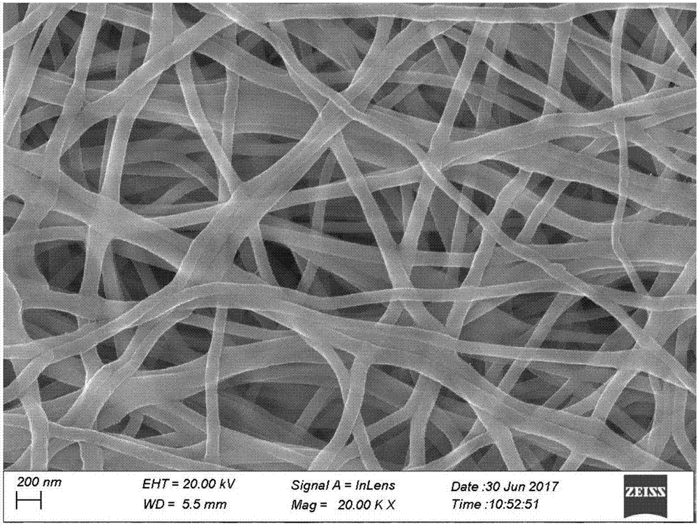 多孔纳米纤维膜的制备及其在重金属离子吸附应用的制作方法与工艺