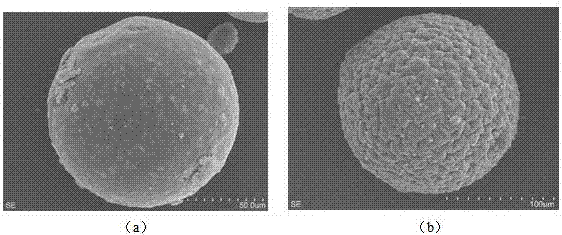 阴离子聚合物接枝壳聚糖磁性复合微球及制备方法和应用与流程