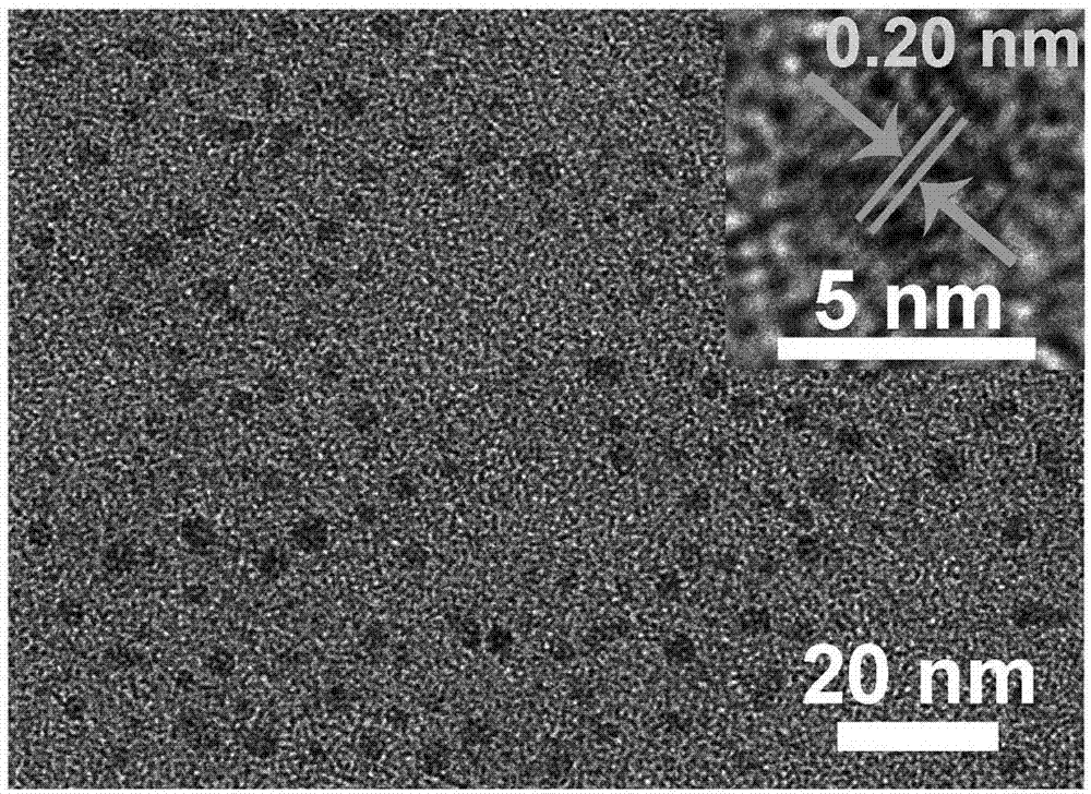 一种荧光硅纳米点及其制备方法与应用与流程