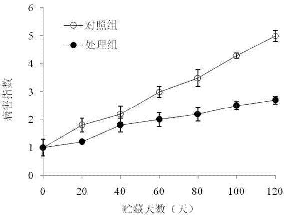 一種抑制橄欖果實病害的處理方法與流程