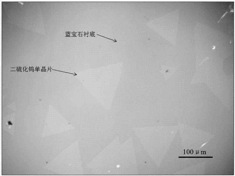 一種常壓下制備二維TMDC原子晶體材料的裝置及方法與流程