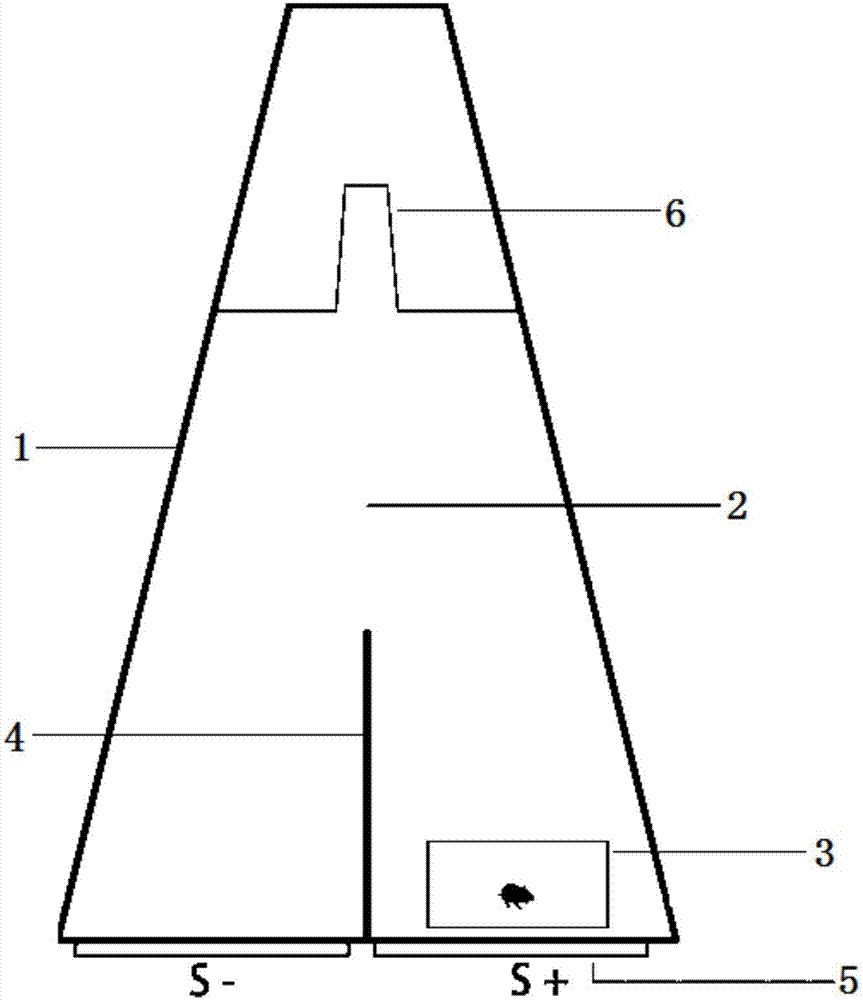 一种梯形水迷宫视觉辨别任务和反转学习任务的训练方法与流程