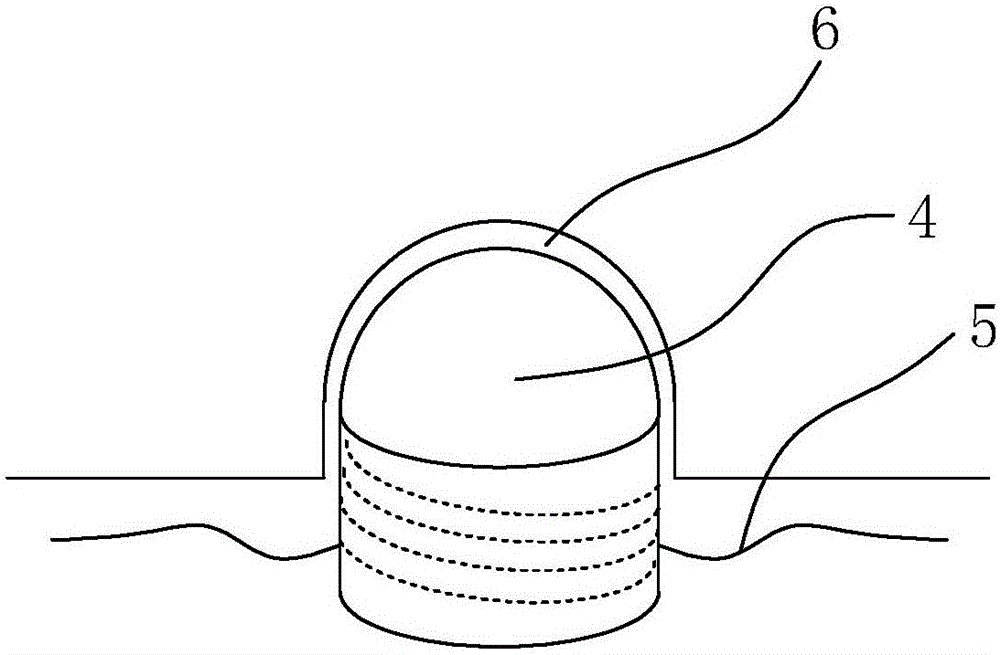 一种聚四氟乙烯汽车油泵密封环的制作方法与工艺