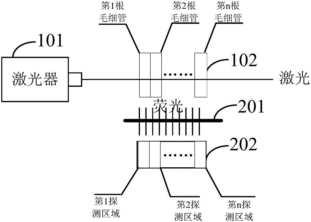 一種毛細管電泳檢測系統的制作方法與工藝