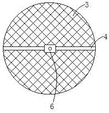 一种带双层导向板的杂交水稻种子筛选机构的制作方法与工艺