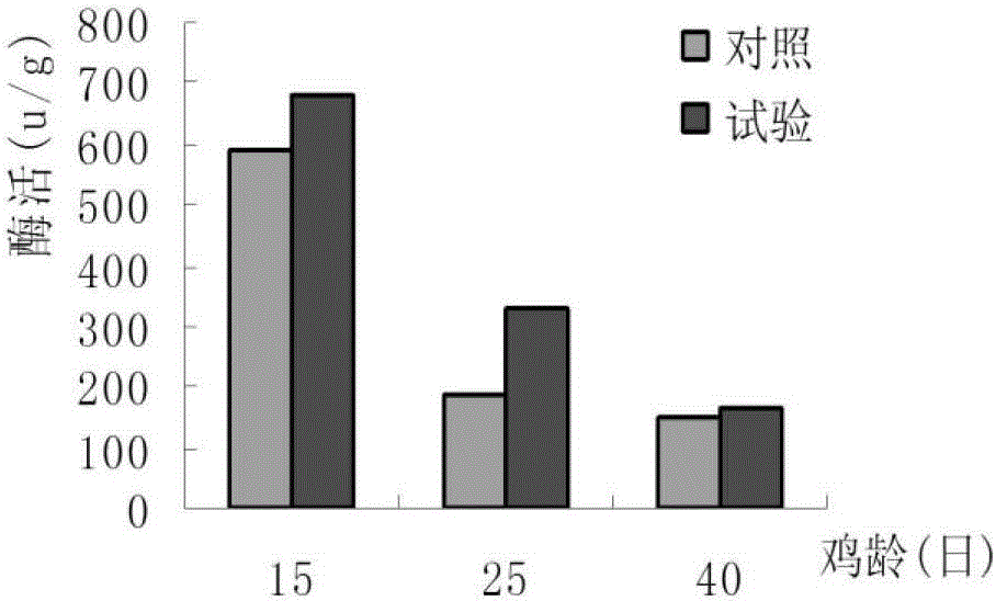 飼料添加劑及在制備提高肉雞雙糖酶活性飼料中的應(yīng)用的制作方法與工藝