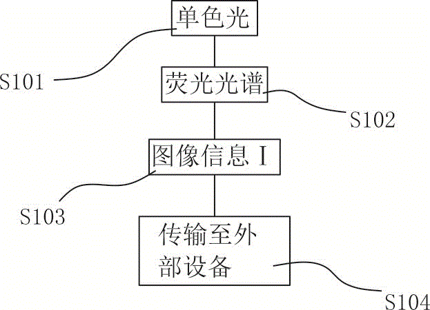 内窥镜诊断支持装置及内窥镜的制作方法