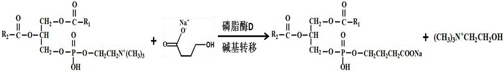 一种亲水小分子脑靶向二级递送载药体及其制备方法与流程