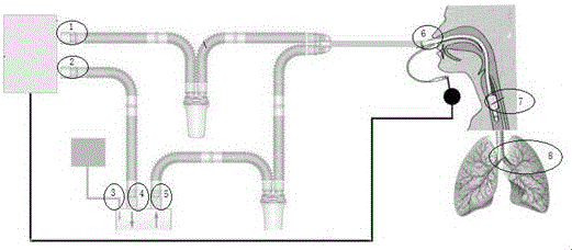 一種基于呼吸機(jī)波形精準(zhǔn)發(fā)現(xiàn)呼吸系統(tǒng)漏氣的方法與流程