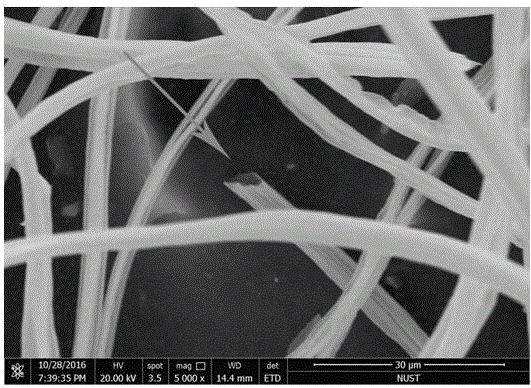 一种利用牛角瓜纤维获得中空氧化锆纤维的方法与流程