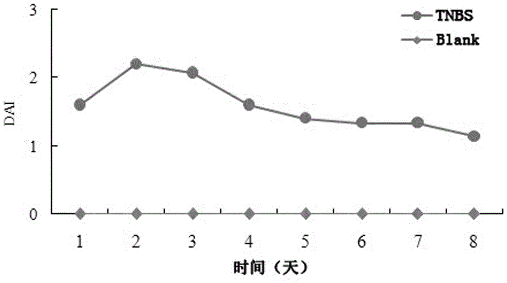 一种改进的SD大鼠克罗恩病造模方法与流程