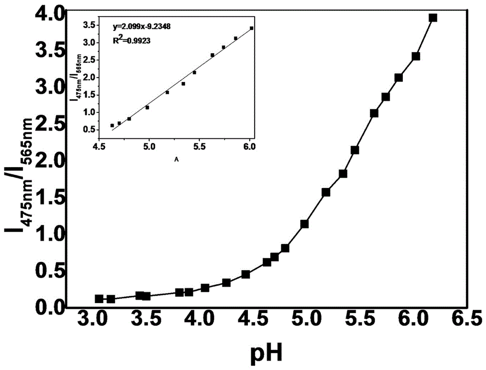 8?苯并咪唑喹啉衍生物比率型pH探針及其制備方法和應(yīng)用與流程