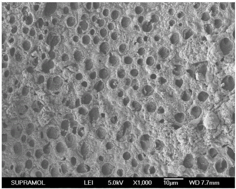 一種用于牙根再生的生物支架材料、制備方法及其應用與流程