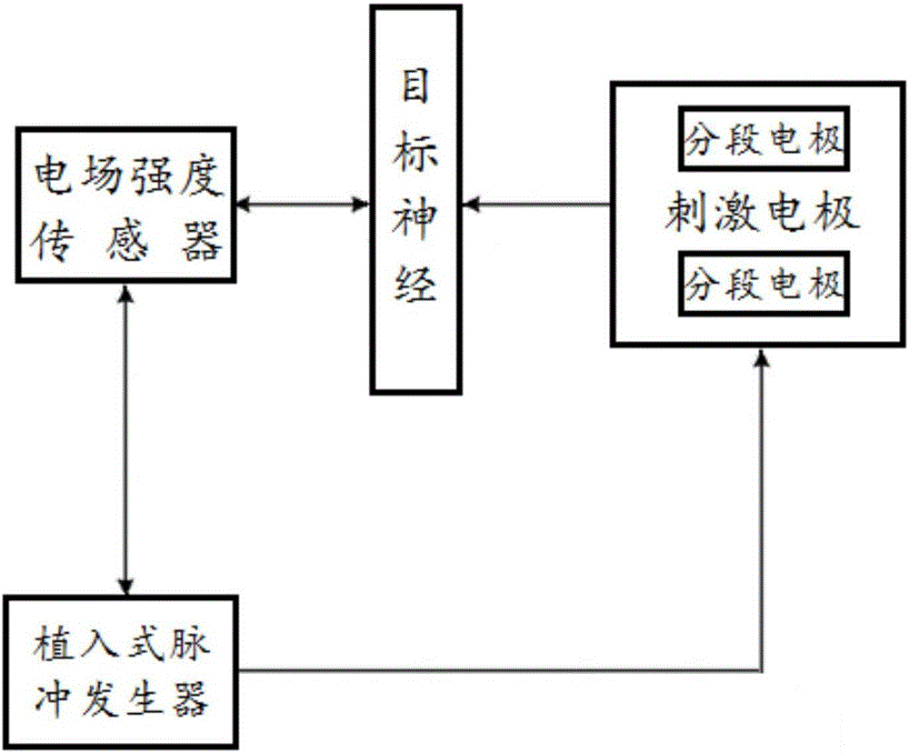 一種可調(diào)整電場方向的骶神經(jīng)刺激器的制作方法與工藝