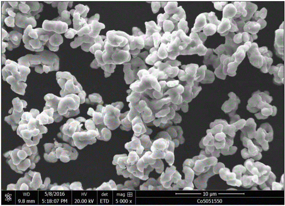 一种钴粉的制备方法与流程