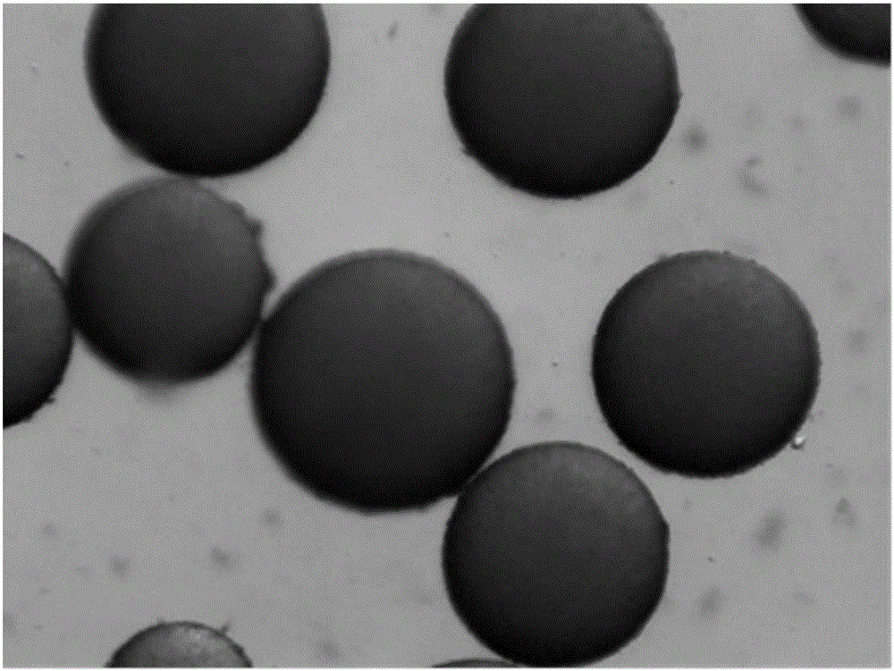 一种酚醛树脂微球的制备方法与流程