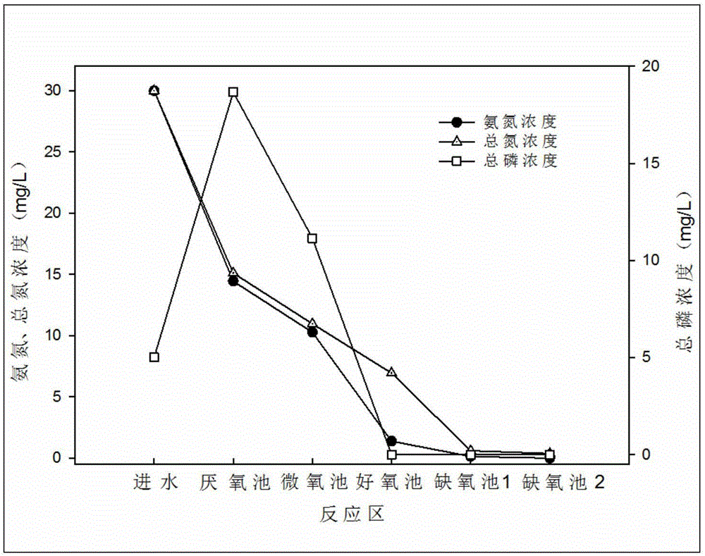 一種階段曝氣后置反硝化脫氮除磷裝置及工藝的制作方法