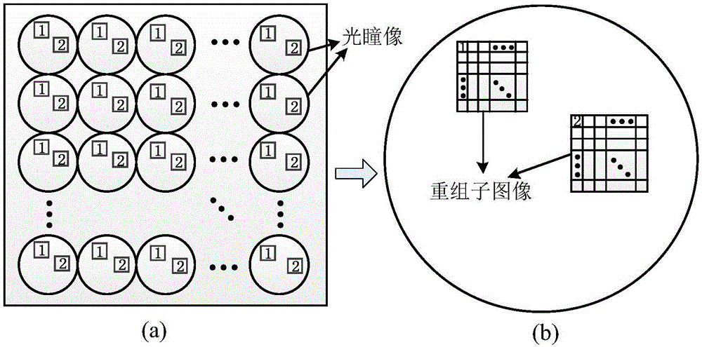 一種基于光場測量的光場高清晰成像方法與流程