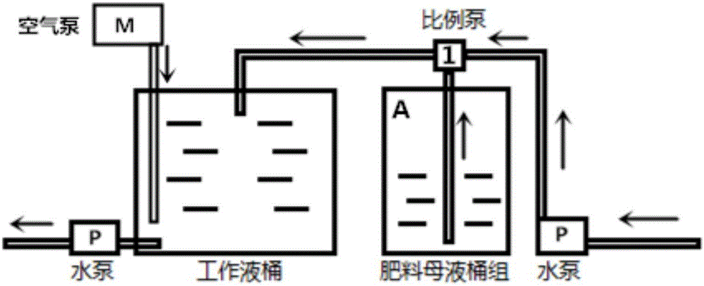 基于葉片元素分析的草莓肥料確定方法、用于草莓種植的肥料及種植方法與流程