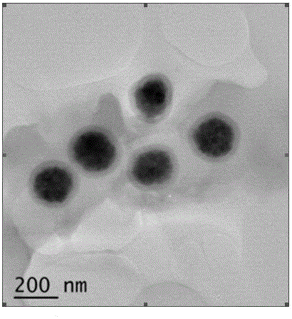 苯并菲啶类生物碱分子印迹磁性微球的制备方法及应用与流程