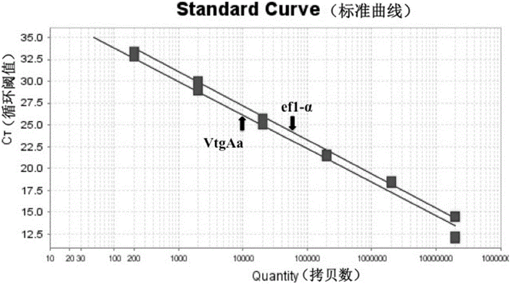 基于彈涂魚多型卵黃蛋白原的水體雌激素污染檢測(cè)方法與流程