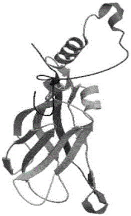大豆突触结合蛋白基因Gmsyt4‑X16及其应用的制作方法与工艺