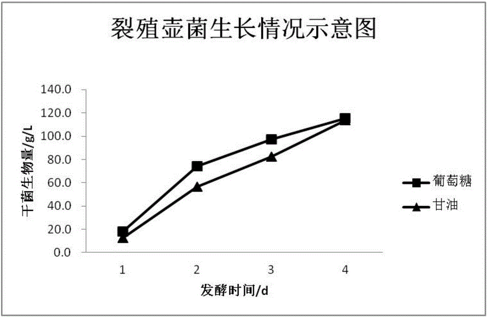 一種提高裂殖壺菌DHA和類胡蘿卜素產(chǎn)率的方法與流程