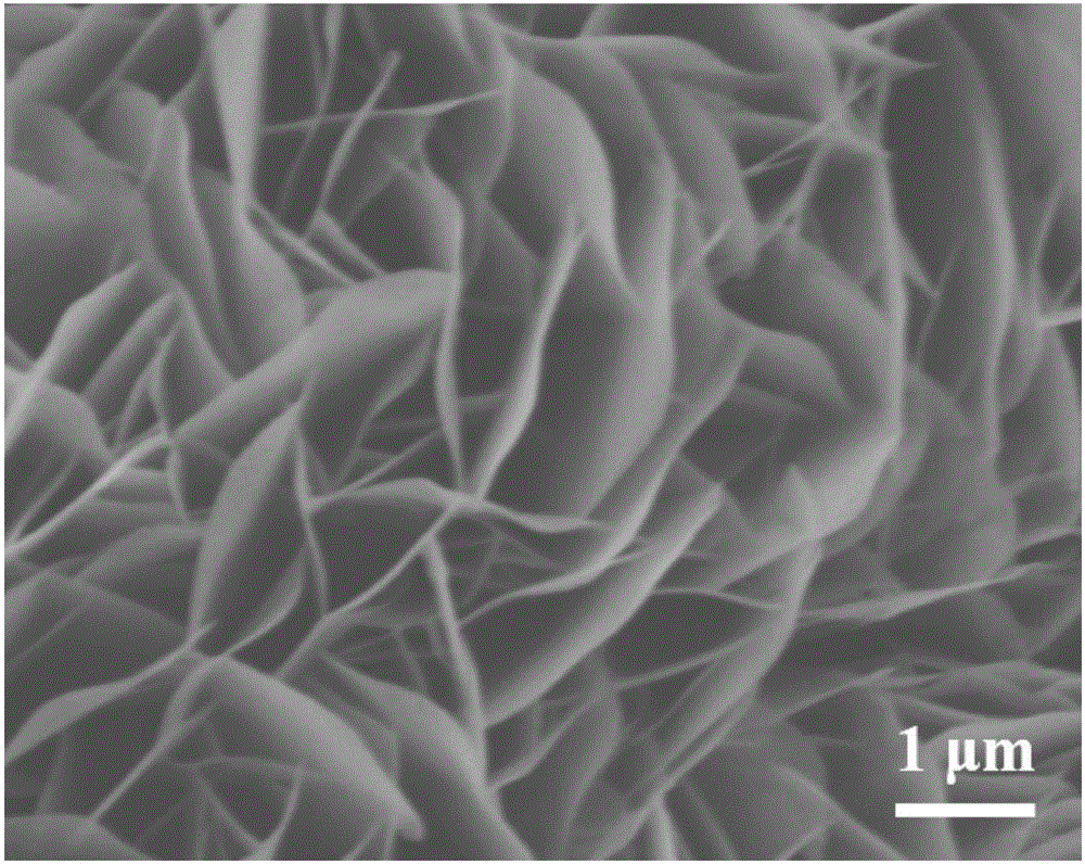 单晶多孔九硒化二钒纳米片阵列电催化材料及其制备方法与流程