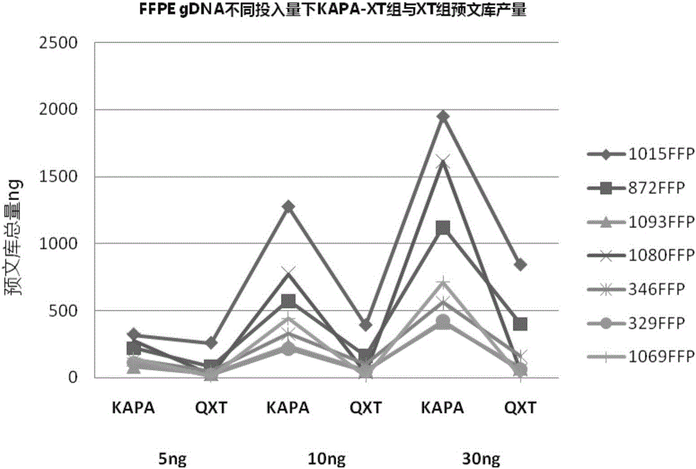 DNA 文库的制备方法以及试剂盒与流程