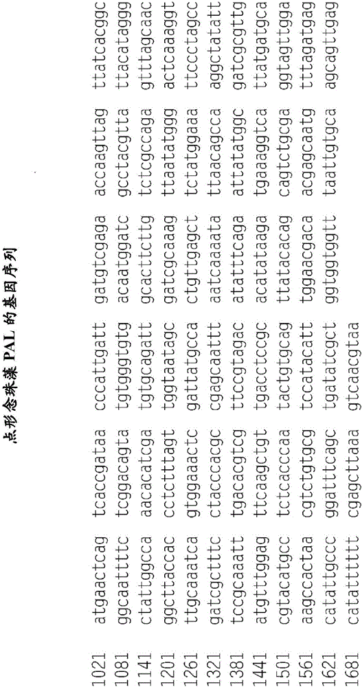 原核苯丙氨酸解氨酶變異體的組合物以及利用其組合物的方法與流程