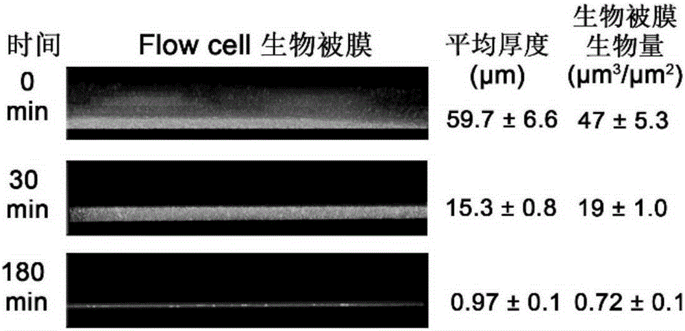 PslG在石油開采中的應用的制作方法與工藝