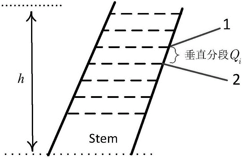 一种基于树干曲面模型的树干材积获取方法与流程